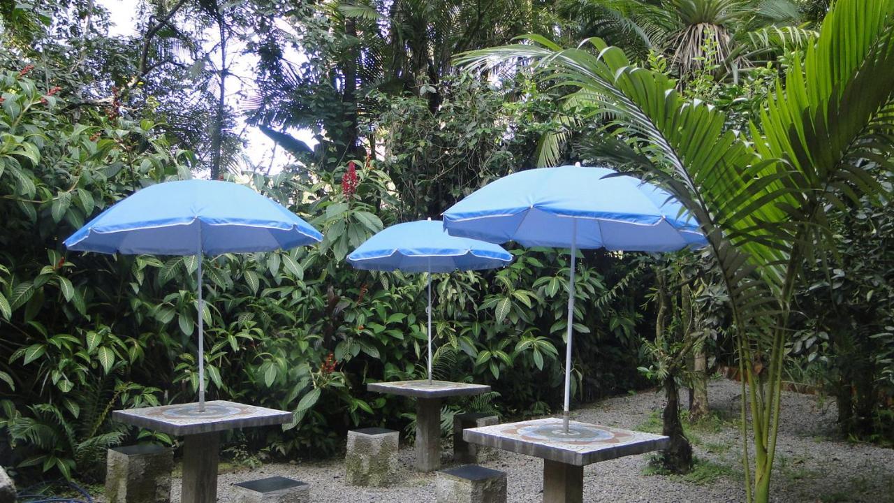 Pousada Do Oasis Morretes Exterior photo